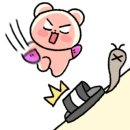 매직광택세차장 이미지