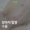 비바동물병원 이미지