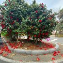 해변산장여관 이미지