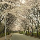 여주고등학교 이미지