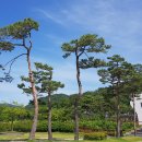 예당5일장 이미지