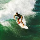 상업용 99 이미지