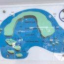 돌고래하우스 | 후루가다 돌핀투어 무지투어 스쿠버다이빙 후기 (돌고래 케이브 포인트, 마르사알람 사마다이 돌핀하우스)