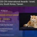 스파리버 캐터리 이미지