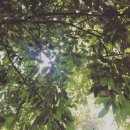 미트라에너지 이미지