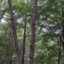 산마루로 이미지