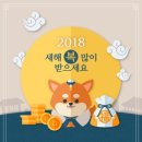 지비사이클 이미지