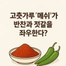푸드인플러스