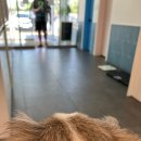 중문동물병원 이미지