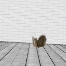 마크라메 플랜트 행잉 DIY 이미지