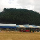 현승목장 이미지