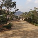 전주이씨 선성군파 명산종중묘역 이미지