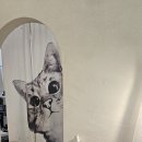 대덕산3길 | [덕은] 카페 누오보 고급양식 , 덕양구 덕은동 파스타 맛집 기차 카페