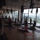 (주) 청담 JU YOGA&GYM 이미지