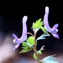 신사-112 이미지