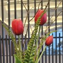 허해숙 꽃 누름 연구소 | 부인은 스승이다!