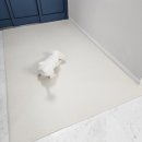 부천준동물병원 | 강아지 뒷다리 떨림 알고보니 슬개골탈구 였어요 [부천준동물병원]