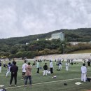 용인대 유도센터 이미지