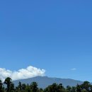 하루방보쌈 | [국내] 제주 가족 여행 2일차 - 항아리조림/랑서프/동립/하루방보쌈 (2024.07.30)