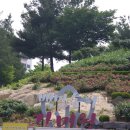 장미원내부 이미지