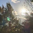 구로-구로-구로-1800 | <서울 서남부 단풍명소> '구로 항동 푸른수목원' 다녀온 후기, 푸른수목원 가는 법 푸른수목원 주차장...