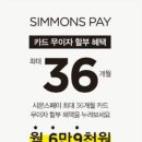 시몬스갤러리부산 - 해운대구 좌동로53번길 40 | 시몬스갤러리부산