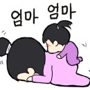 탐여행사 이미지