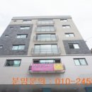 신사동-13 이미지