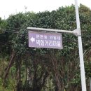 황령산유원지 생태숲 이미지