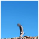 대술농장 이미지