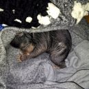 아기곰스튜디오 이미지