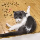 NR-24[동부로]-하-320 | 잘가[ ? ~ 5월]