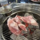 현참숯불뒷고기 이미지