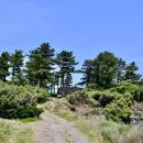 좌가연대 이미지