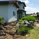 빌레하우스 이미지