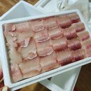 김삿갓 수산 신안 흑산도 홍어 집에서먹는 신안안 홍어맛집