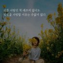 다울 이미지