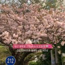 개금1동-6 이미지