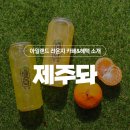 제주돠 이미지