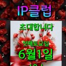 IP클럽 6월 파티(4일 토요일) 이미지