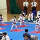 글로벌경희대태권도체육관 이미지