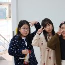 푸른빛 태권도장 이미지