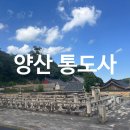 중로(보)1-1-8 | 양산 통도사, 자장율사의 발자취를 따라 걷는 세계유산 산사