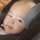 260910_프랑스_바흐비유공원_LSD_전지훈련3 이미지