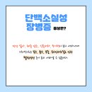 장 동물병원 이미지