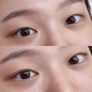 대구 수성구 속눈썹 &#34;살롱드율&#34; 솔직한 후기(+주의할 점, 주기 등 꿀팁)