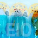 팅팅(EIOEIO)