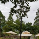 모다페카페 이미지