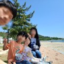 백두대간수목원민박 | 봉화호랑이 백두대간수목원방문후기