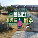 바위솔펜션 | 제주도 독채 펜션 메종드 제주 풀빌라 제주도 숙소 겨울 스파로 감성여행하기